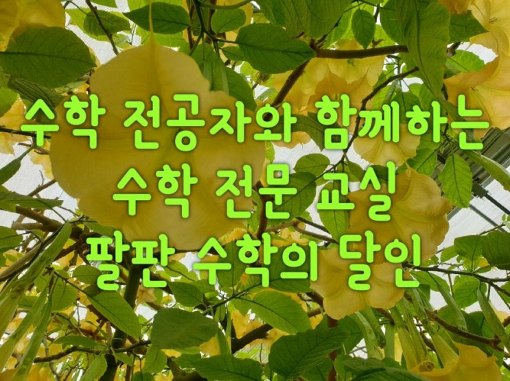  팔판 수학 전문 학원 팔판 수학의 달인의 수학 특강 수학아 놀자!!