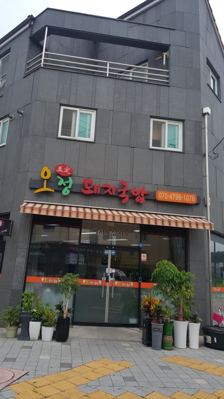  진주 초전동맛집 오정돼지국밥에서 점심과 저녁