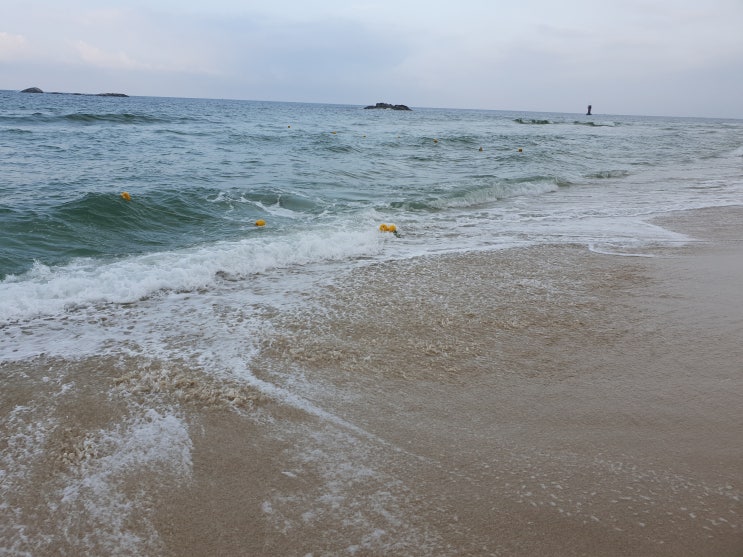  부산허리디스크 치료 요번엔 잘받아보고 싶었네요