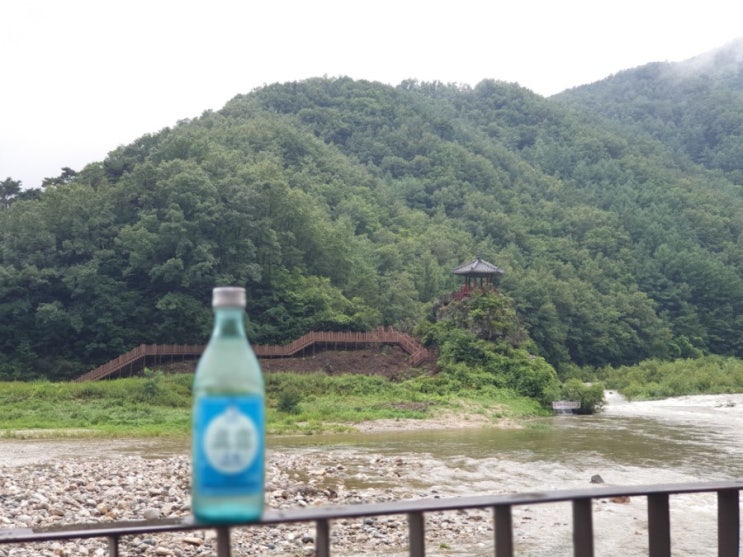  부산근교 우중캠핑 태풍 다마스 feat. 여름 캠핑음식