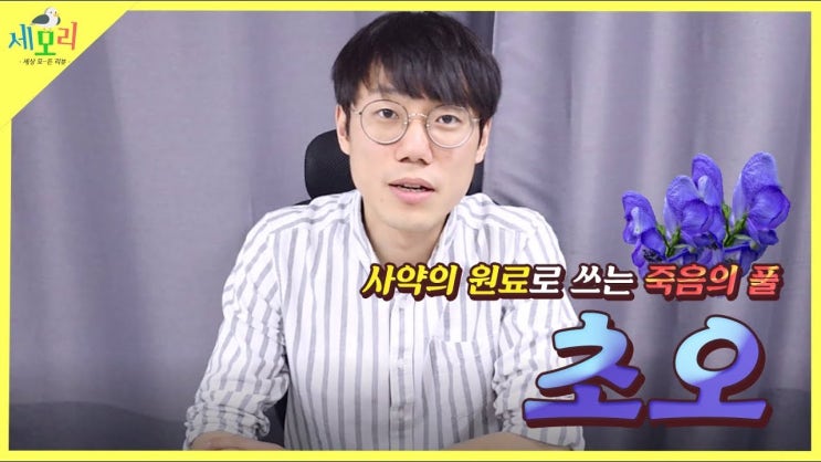  사약의 재료 각시투구꽃 초오! 과연 얼마나 무서운 독초일까