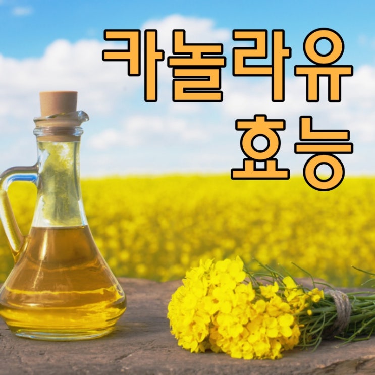  카놀라유 효능, 과연 몸에 좋은 기름일까?