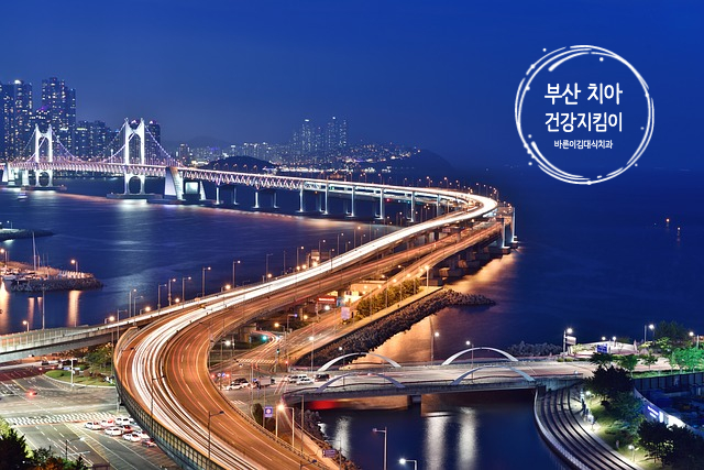  수영구 바른이김대식 교정치과 추천 :: 2019 부산바다축제/어린이 해수욕장 조개 잡기 체험 일정은?