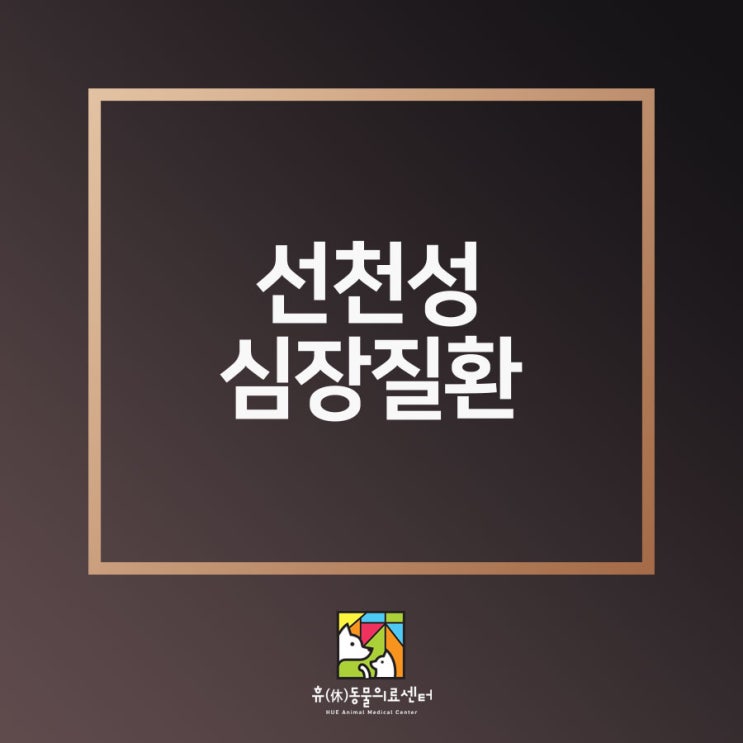  부산동물병원 강아지 선천성 심장질환 종류