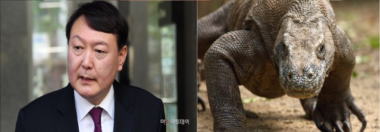  '코모도도마뱀相' 윤석열 신임 검찰총장