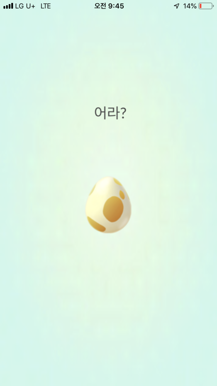  5km알