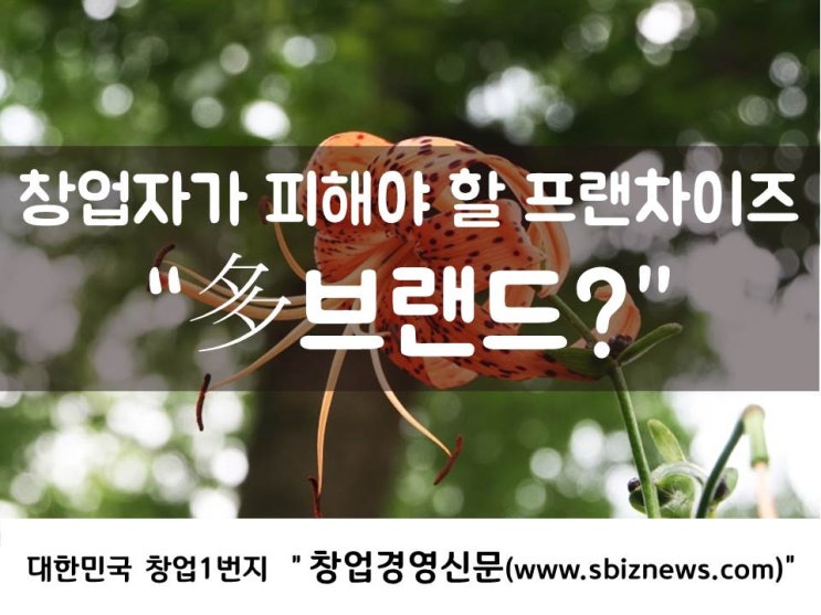  창업자가 피해야 할 프랜차이즈 “多브랜드?”