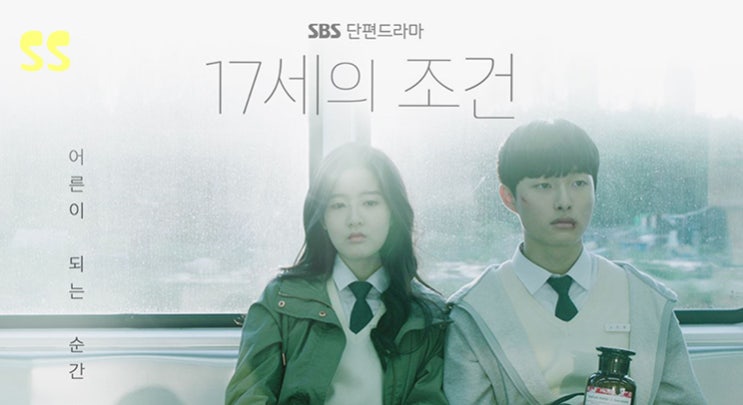  드라마 17세의 조건 등장인물관계도 윤찬영 박시은 주연