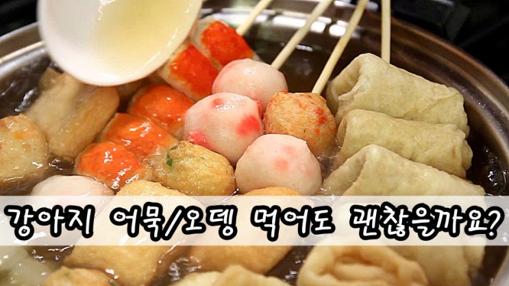  강아지 어묵, 강아지 오뎅 먹어도 괜찮을까요?