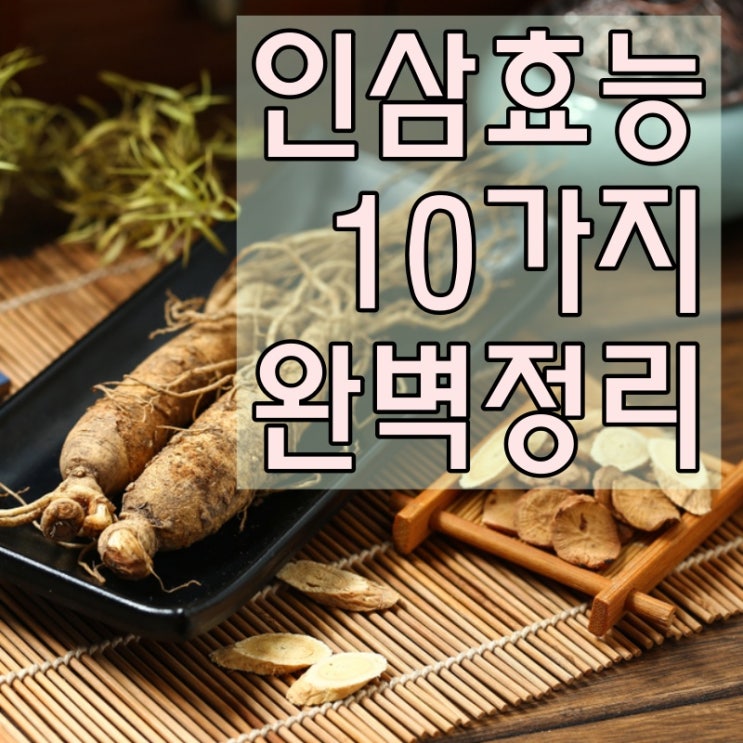  인삼 효능 놀라운 10가지 총정리