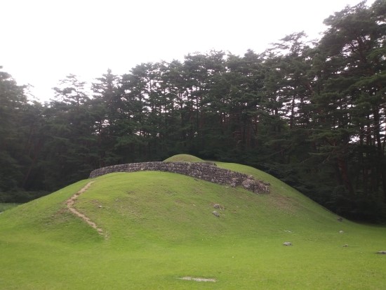  삼척 준경묘와 미인송