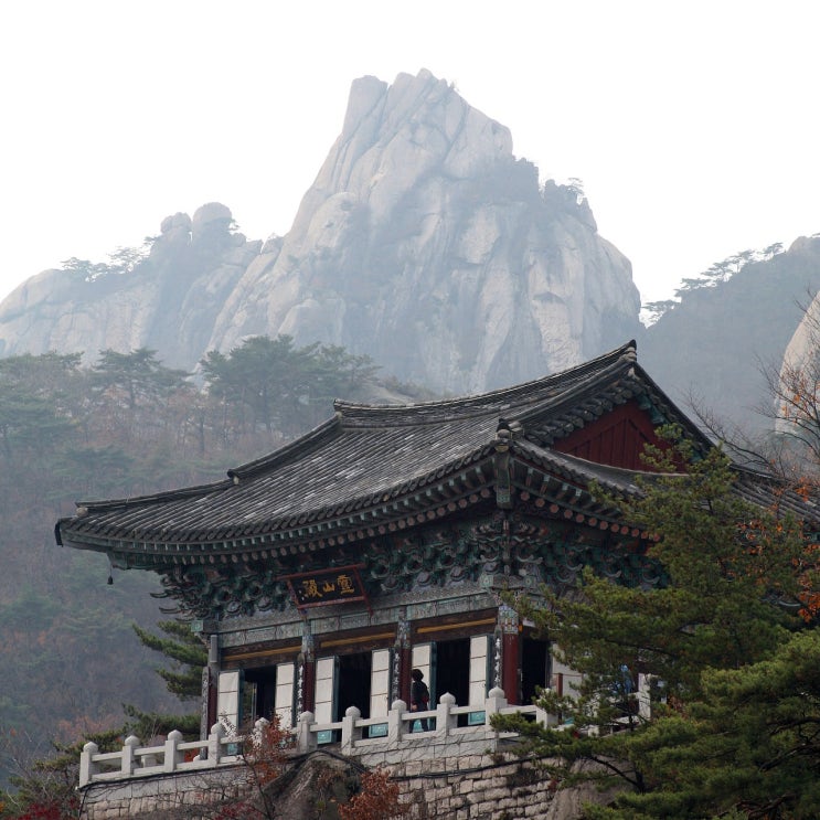  인구가 많은 자치도시 TOP 7은?