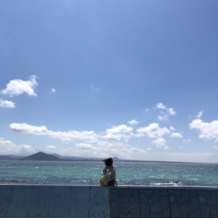  4박 5일 제주도 여행