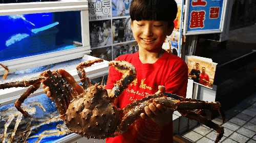  제주도 킹크랩은 역시 모리! 소중한 사람과 좋은날엔 제주시 누웨모루거리 특별한 맛집, 모리满满帝王蟹!