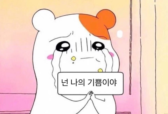  19 박효신 덕질 코멘트