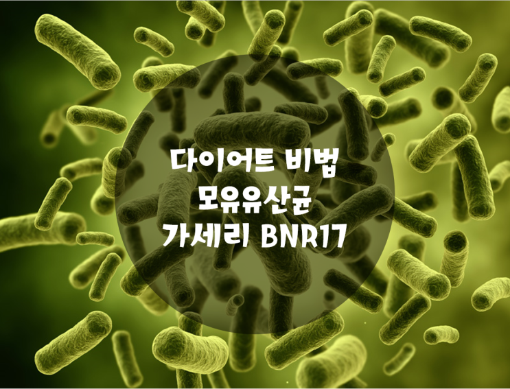 모유유산균 가세리 BNR17, 최은주 다이어트 비법