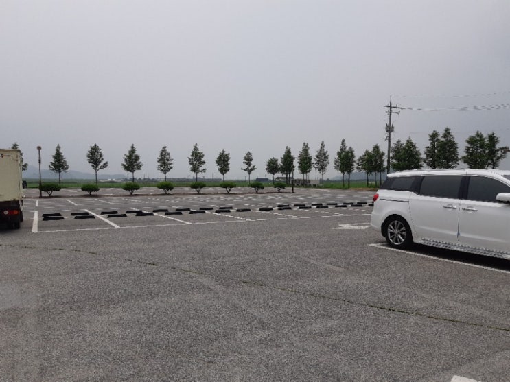  <서천가볼만한곳>신성리갈대밭 에도 스카이워크가 있네요?