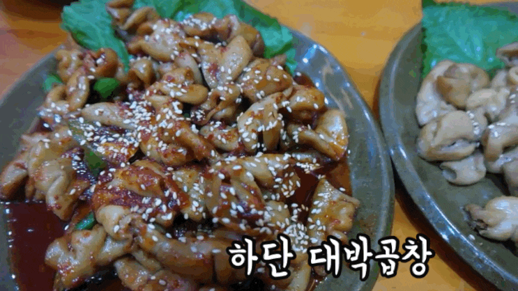  하단 곱창 맛집, 전라도식 곱창구이 하단 대박곱창