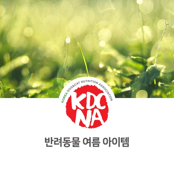  [반려인이 알아야 할 필수 정보] 여름을 이겨내는 반려동물 아이템 소개_13