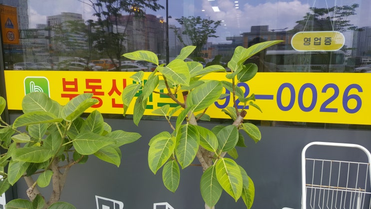  상가주택 세법 개정, 미사 상가주택의 양도소득세