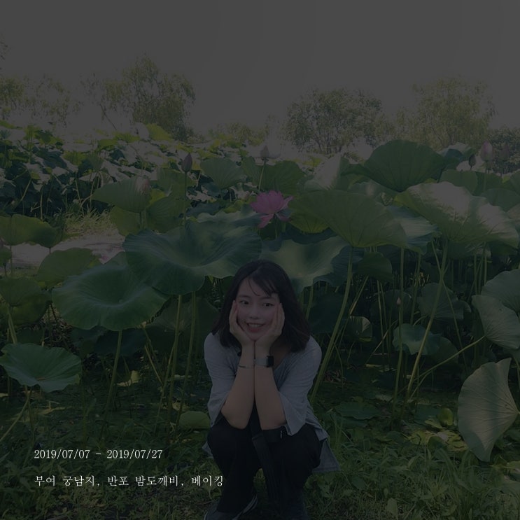  2019/07/07 - 2019/07/27_부여 궁남지 (연꽃축제), 반포 밤도깨비, 베이킹