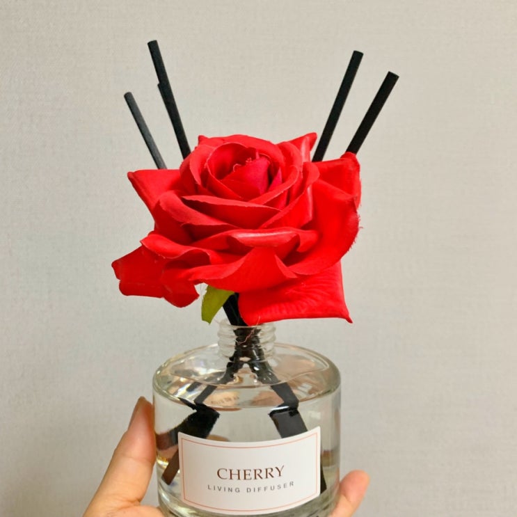  다이소 "디퓨저" 직접 사보고 써본 후기 (가격,향지속력)