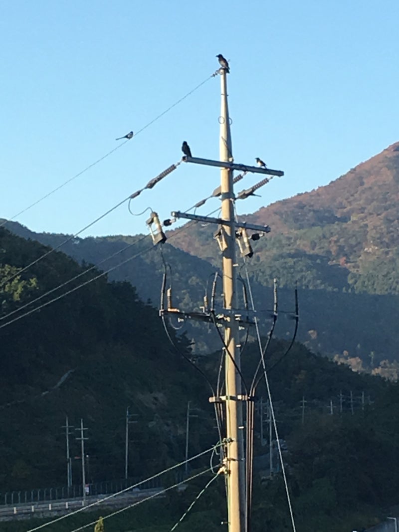 전기용어사전 : 네이버 블로그