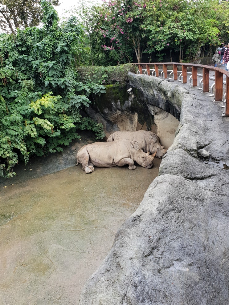 대만자유여행 - 타이베이 동물원 후기, 아이가 있다면 꼭 가볼만한 곳