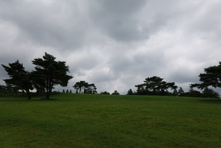 경주 화랑의 언덕