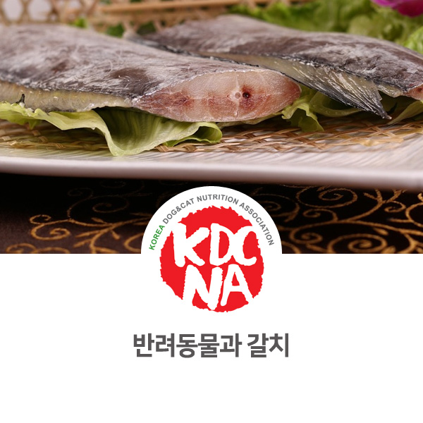  [강아지 고양이 영양 정보]  반려동물 식재료 갈치의 효과_108