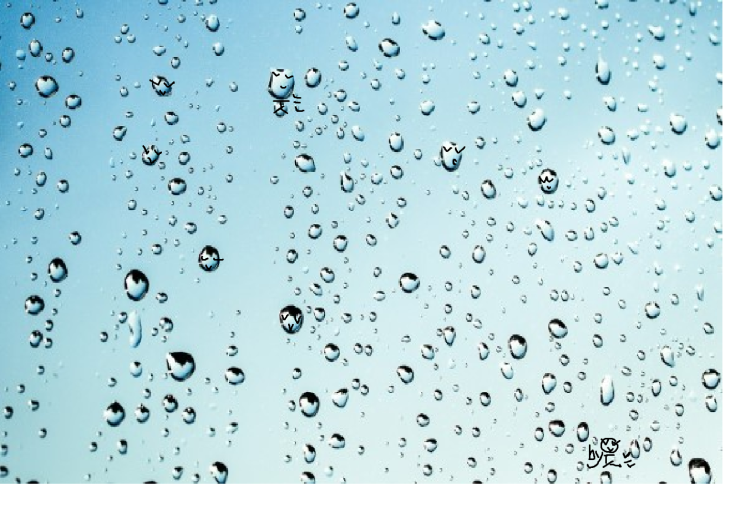  빗방울, Rain Drops