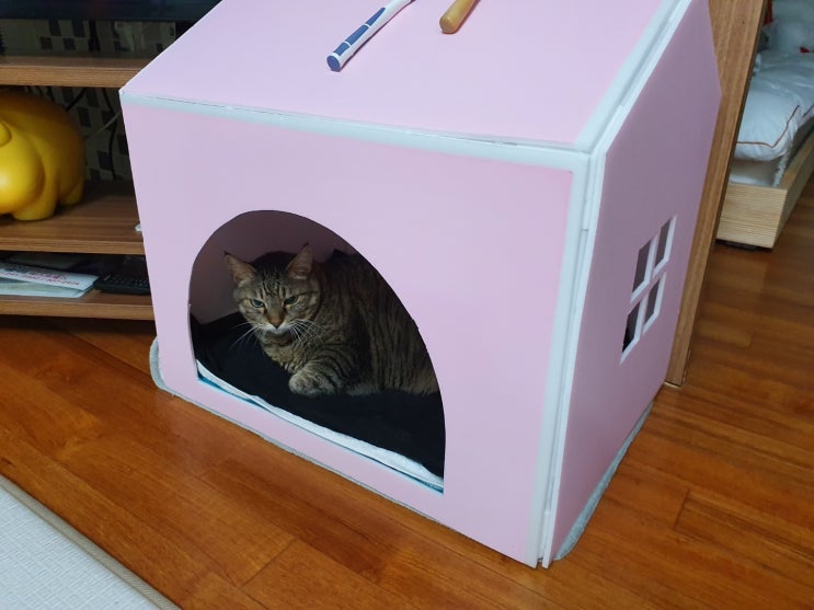 고양이집 만들어주기 차차하우스