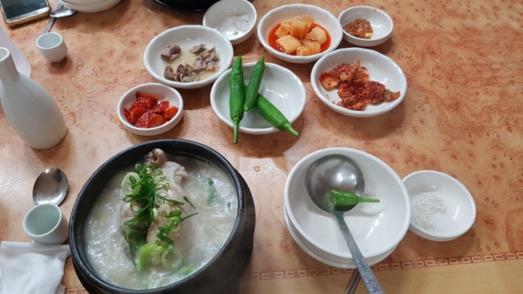 대구 달서구 죽전동 맛집 : 가야정 길경 삼계탕 / 도라지 (길경) 삼계탕 맛집 / 깔끔한 국물맛 / 인삼주 /죽전네거리 맛집