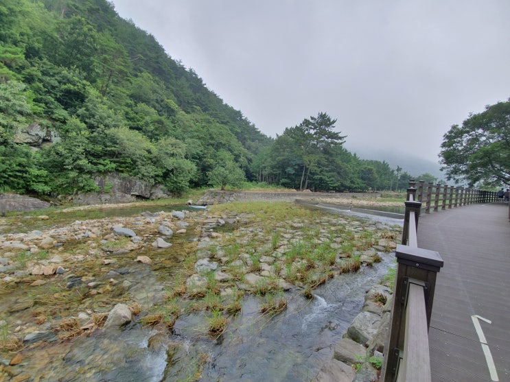 진주 좋은집 일상 : 사천 용소 식당 계곡 야유회 아이들과 즐기기 좋은곳
