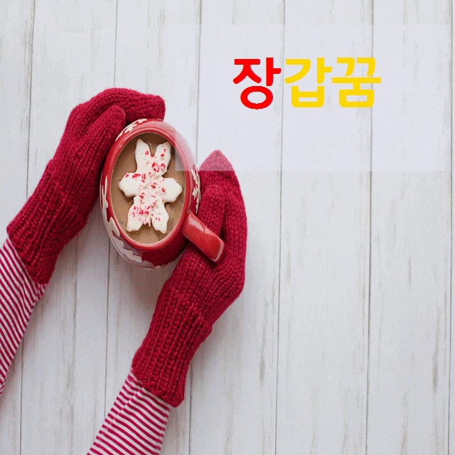  장갑꿈