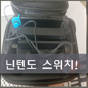  닌텐도 스위치 커펌 두달 사용기!