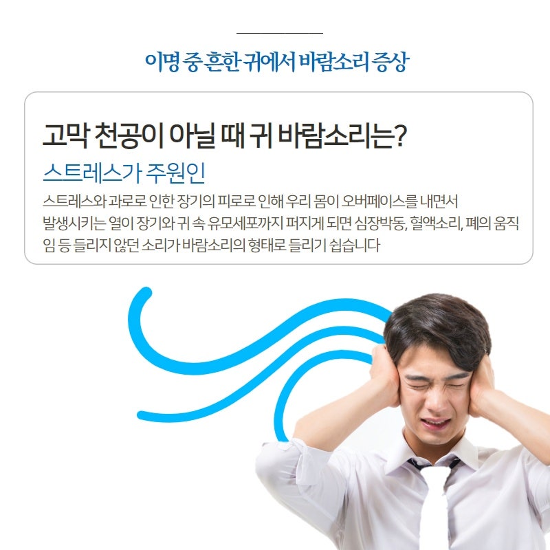 한쪽 귀에 바람?이명 환자에게 보내는 편지