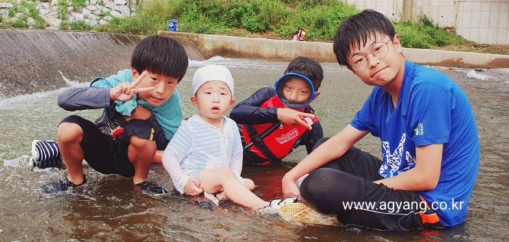  여름휴가 계획하셨나요?저희는 일상이 휴가네요^^