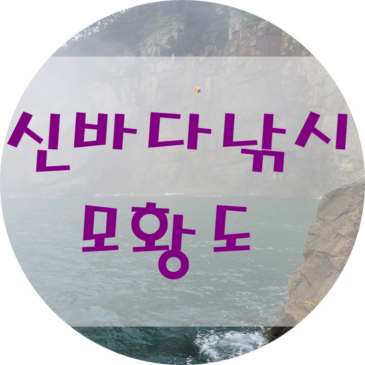  완도 모항도 갯핑 전라불패 선장님 신지 신바다낚시
