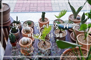  속초 띠앗 플라워카페 눈과 입이 즐거운 곳