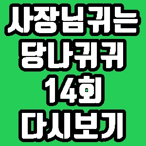 사장님 귀는 당나귀 귀 심영순 채식박람회 14회 재방송 편성표 다시보기 방송시간