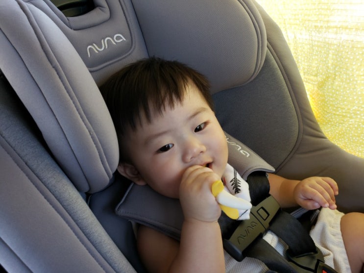  뉴나 라바 2019년 형(nuna rava)으로 아들램 컨버터블 카시트 새로 장만했어요!