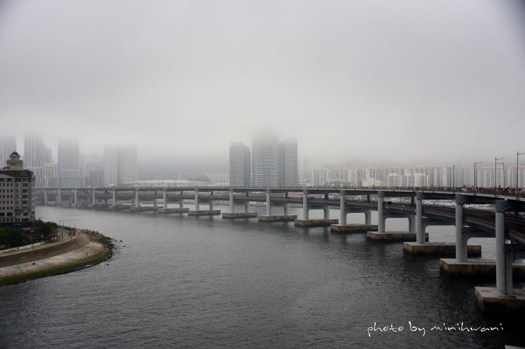 [<b>부산</b>/<b>광안대교</b>] <b>부산광안대교</b> 개방행사