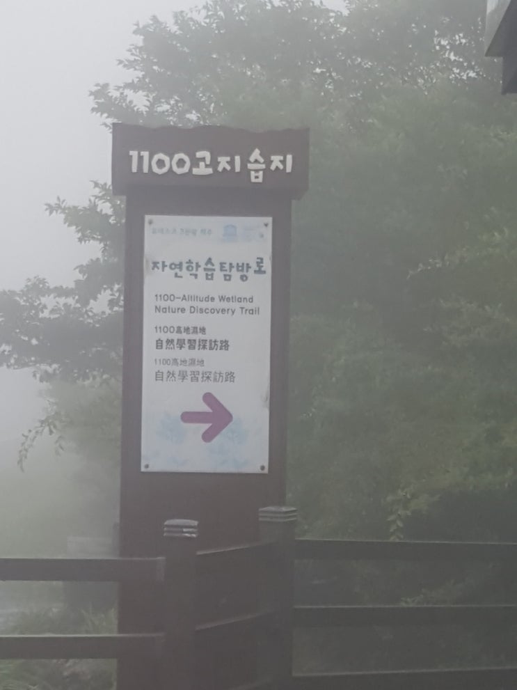  제주도캠핑카여행2