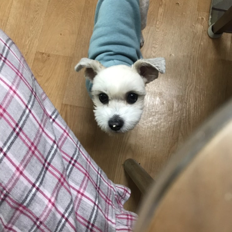  (2019,5) 오월이는 오월달