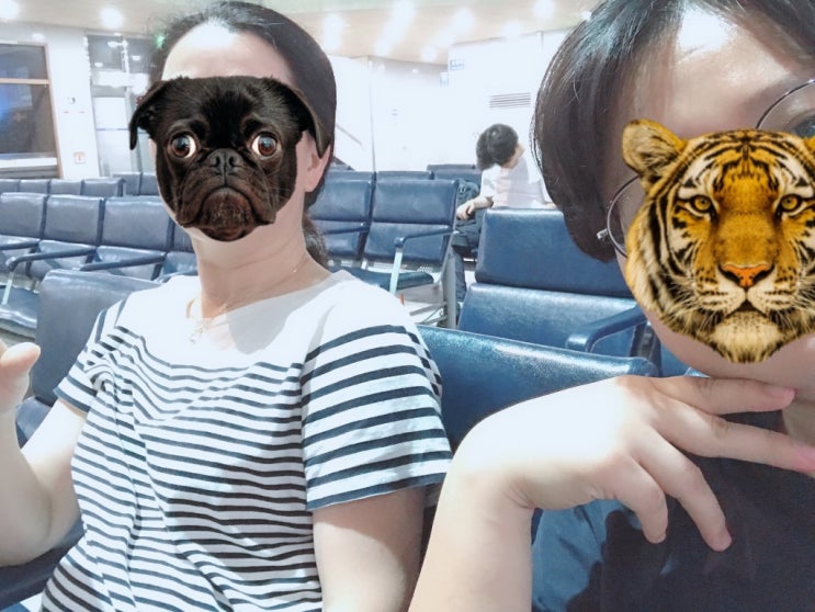  근황 190718 한국에서 멕시코 몬테레이까지