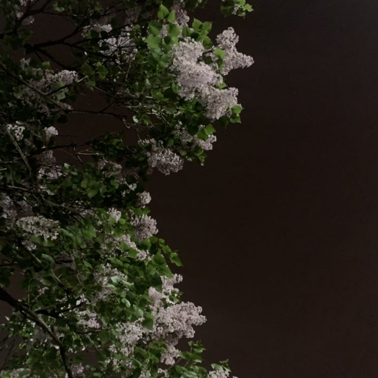  ~2019年 7月 7日