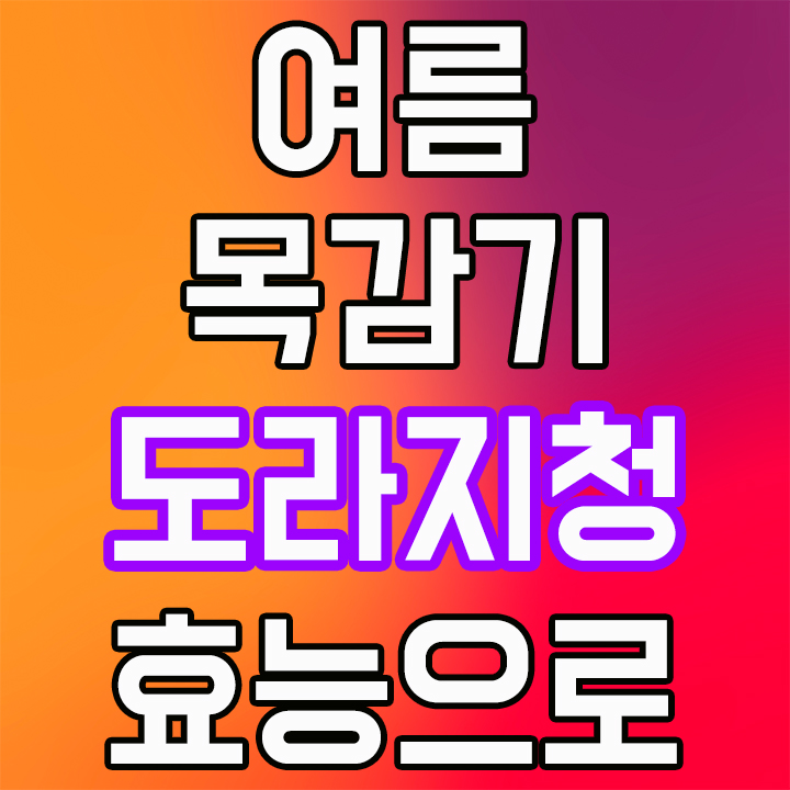 여름 목감기에는 도라지청 효능으로 이겨내자