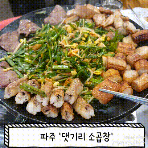  쯔양 곱창으로 유명한 댓기리소곱창 인생곱창 등극!!