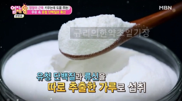  근육보충제 운동 후 엔 필수! 류신과 유청단백질 풍부한 유청단백질가루 효능 먹는법 부작용은..